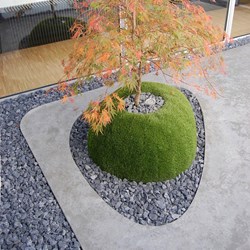 patio-Edegem-minimalistisch-zentuin-acer-tuinverlichting